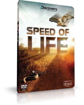 SPEED OF LIFE ( مستند سرعت زندگی )